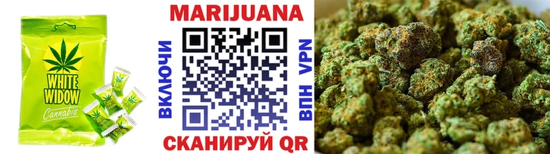Купить где  Абдулино  Canna-Cookies конопля 