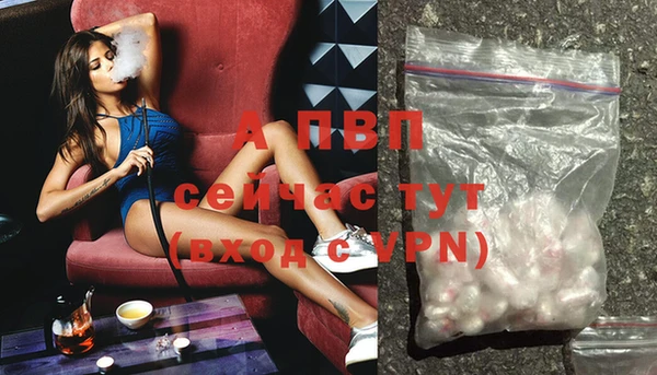 PSILOCYBIN Балабаново